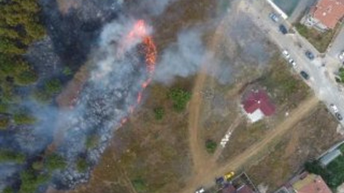 Sinop’ta orman yangını: 10 hektar yandı
