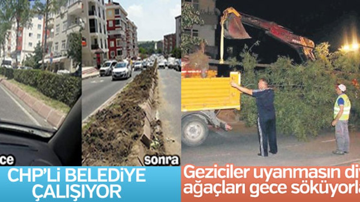 Tekirdağ'da CHP'li belediyenin ağaç katliamı sürüyor