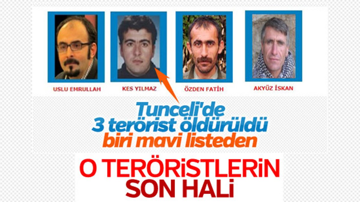 Tunceli'de öldürülen teröristler
