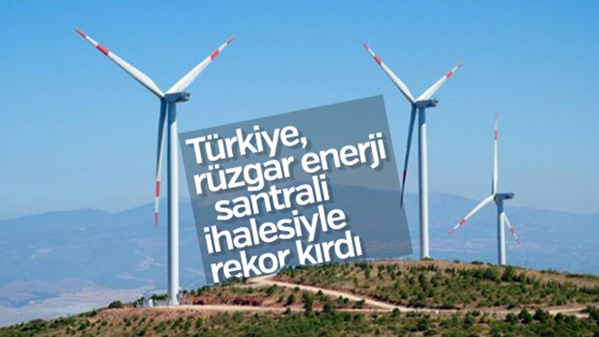 Türkiye, rüzgar enerji santrali ihalesiyle rekor kırdı