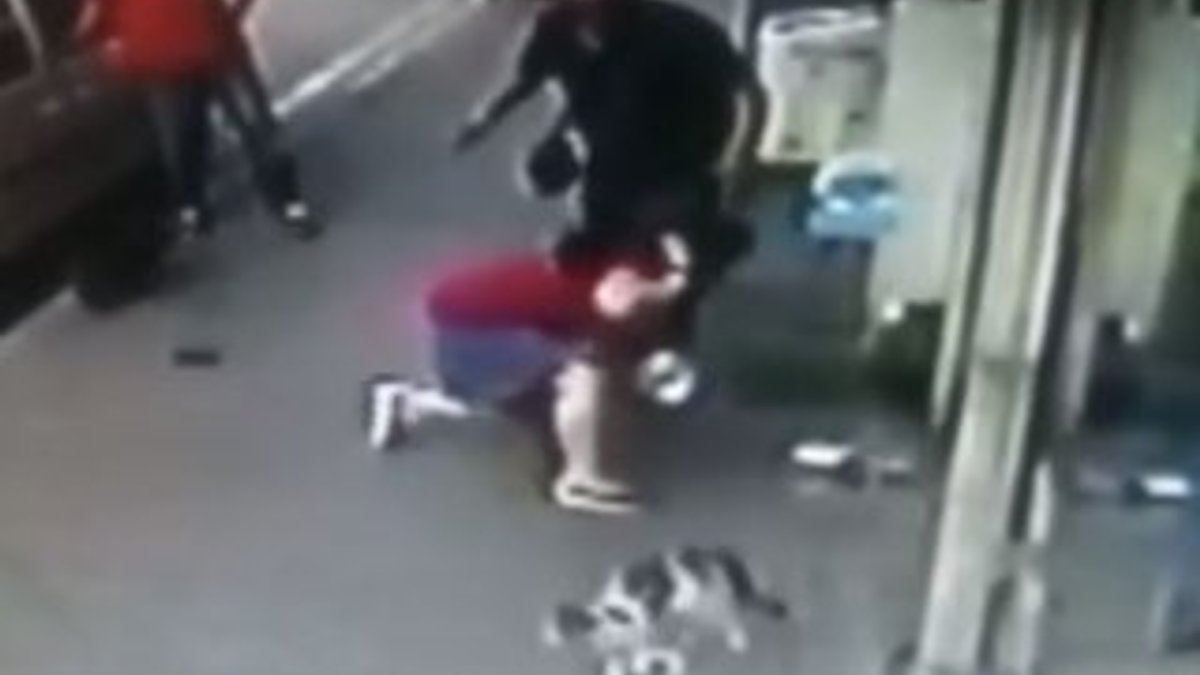 Kedi kaldırımda yürüyen köpek ve sahibine saldırdı