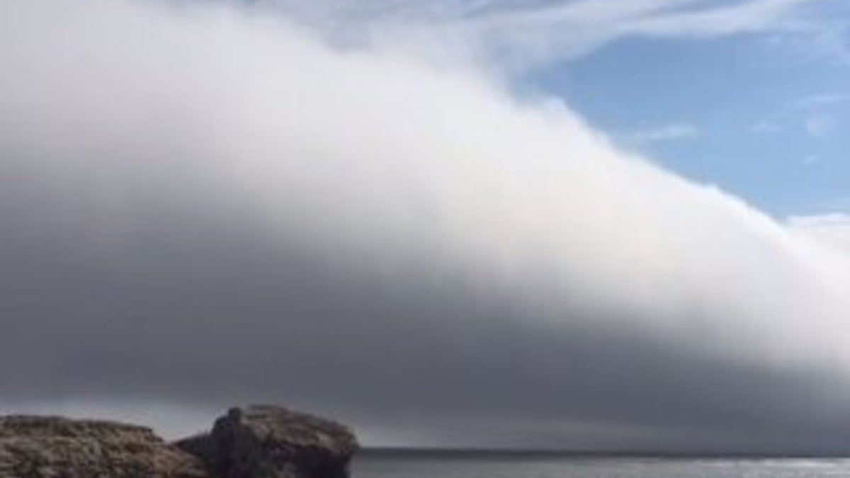 ABD'de gökyüzünü kaplayan dev bulut korkuttu