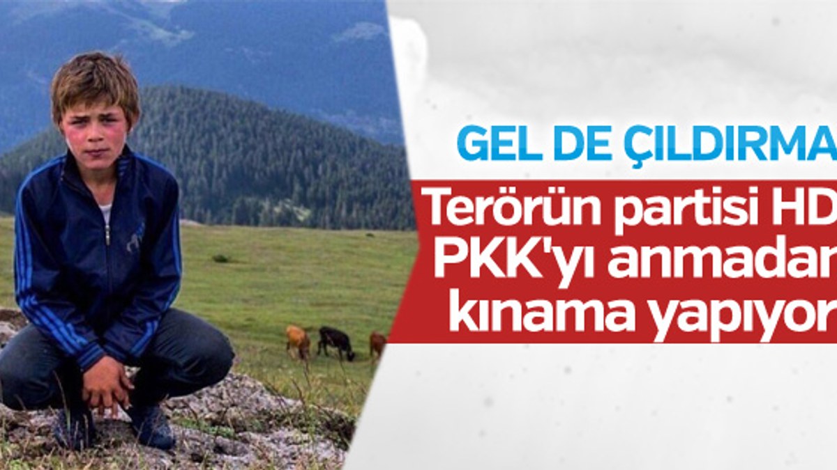 HDP'den Eren Bülbül mesajı