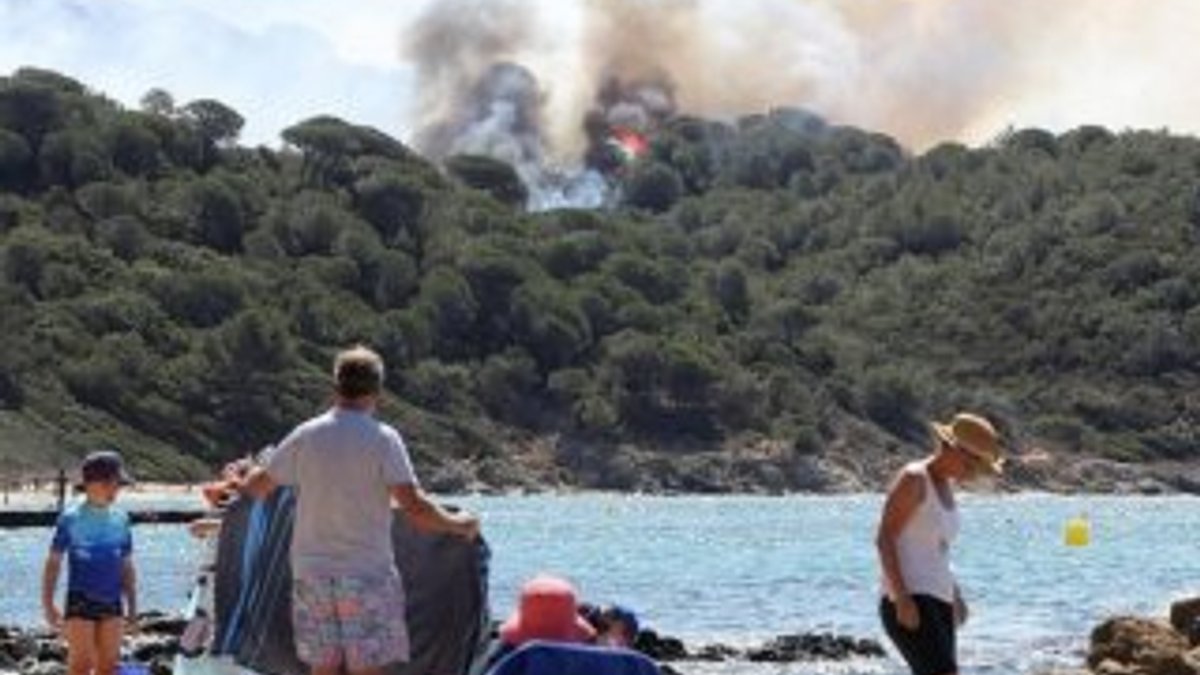 Fransa'da orman yangını etkili oldu