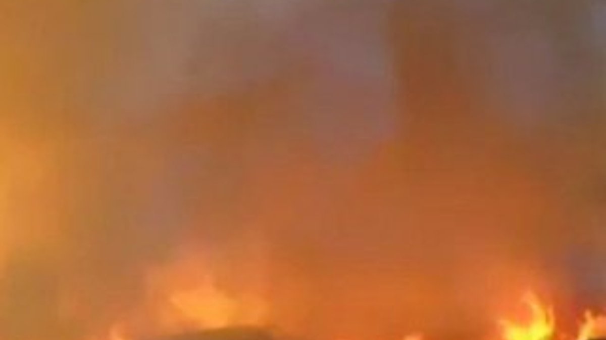 Yunanistan'ın Attika bölgesinde yangın