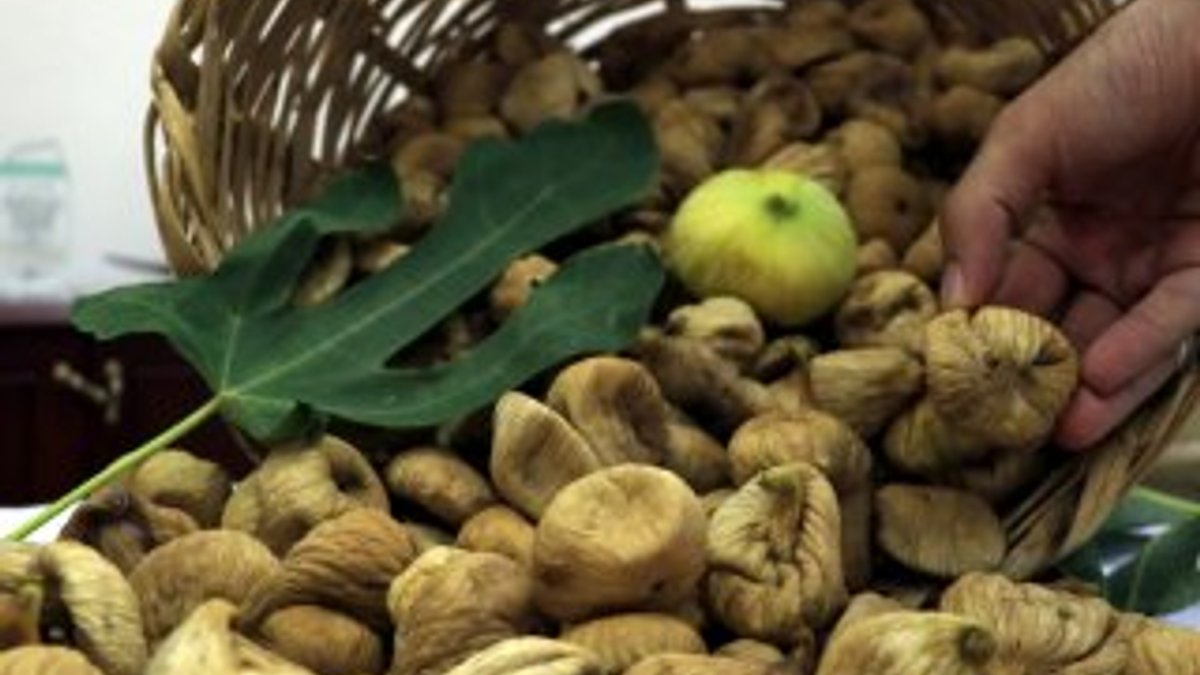 Aydın'da sezonun ilk inciri 70 lira