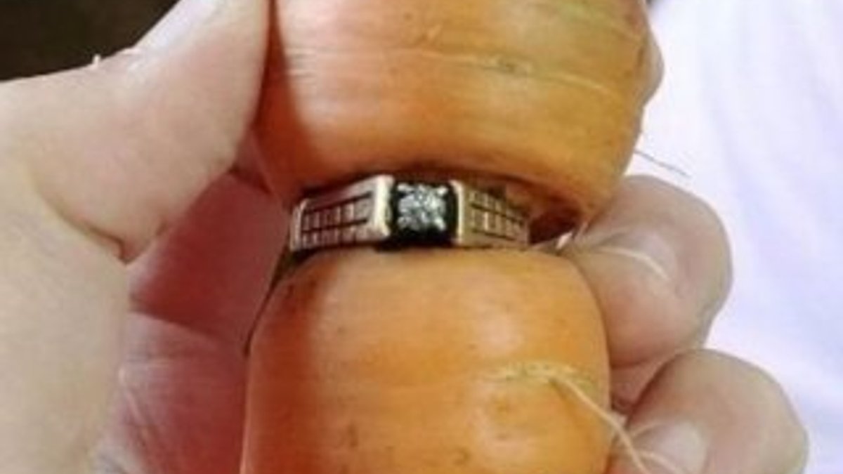 Yıllardır kayıp olan yüzüğünü havuca takılı olarak buldu