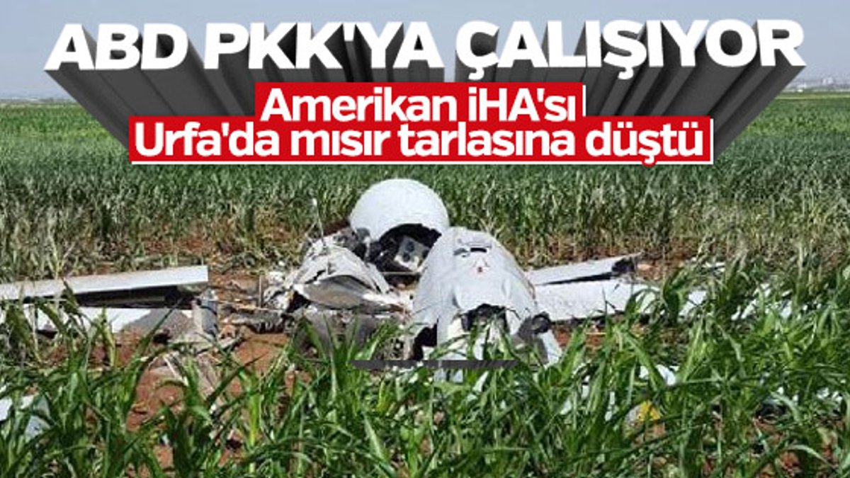 Şanlıurfa'da mısır tarlasına insansız hava aracı düştü
