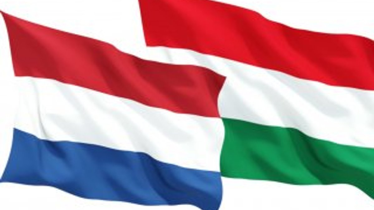 Macaristan Hollanda'dan özür bekliyor