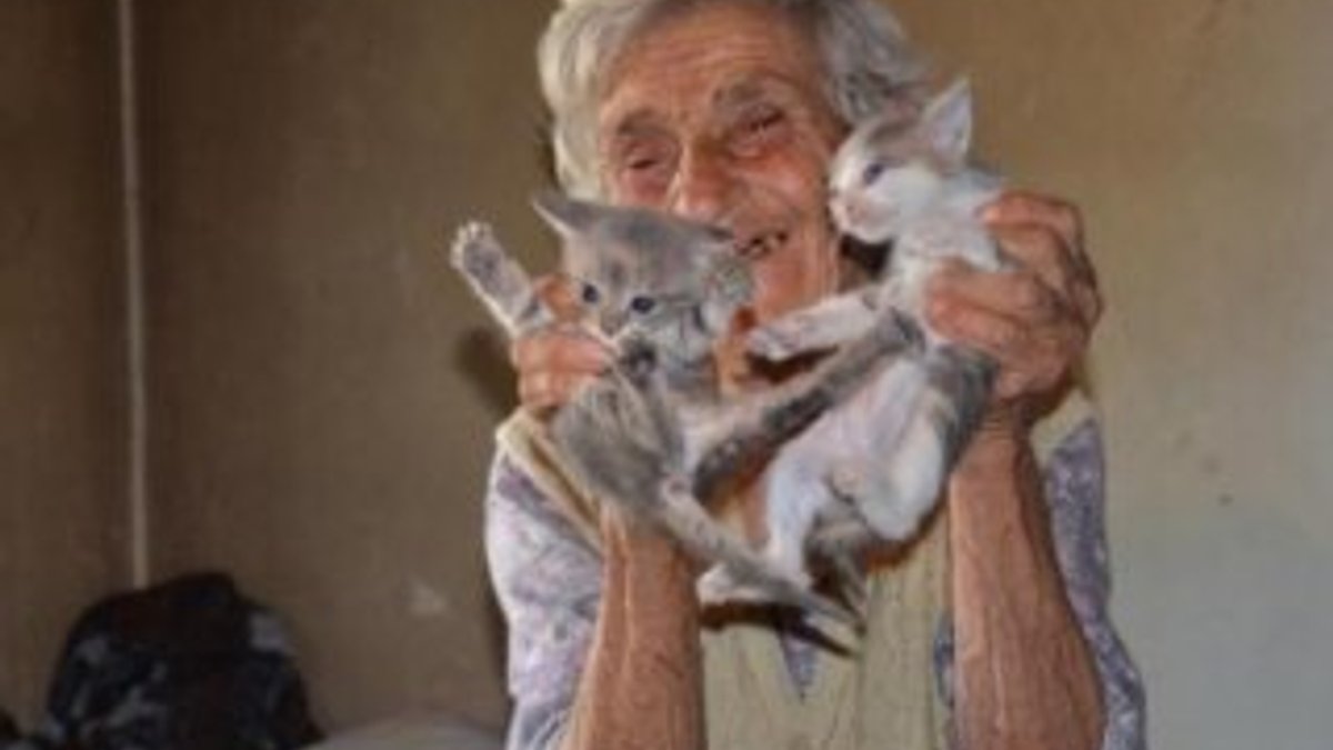 Hanım Nine ömrünü kedilere adadı