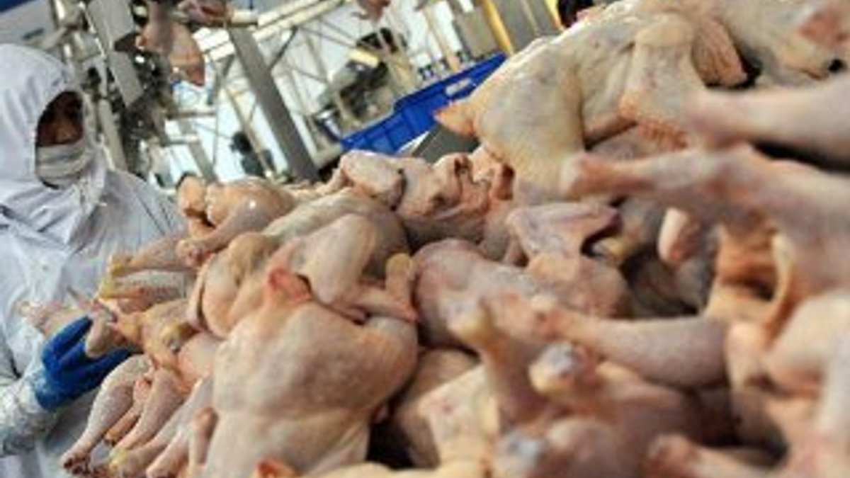 Tavuk eti fiyatlarında yüzde 20'lik artış