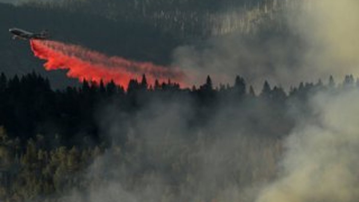 California'da orman yangınları etkili oldu