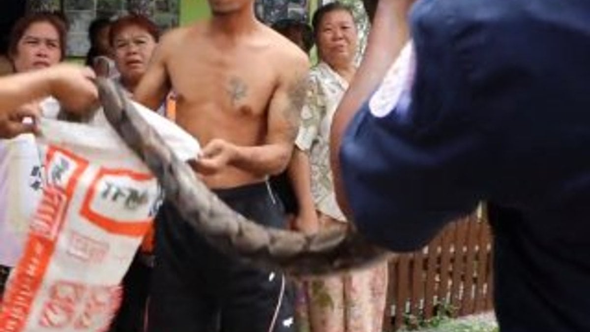Evdeki yılanı çıkartmaya gelen adam ayağından ısırıldı
