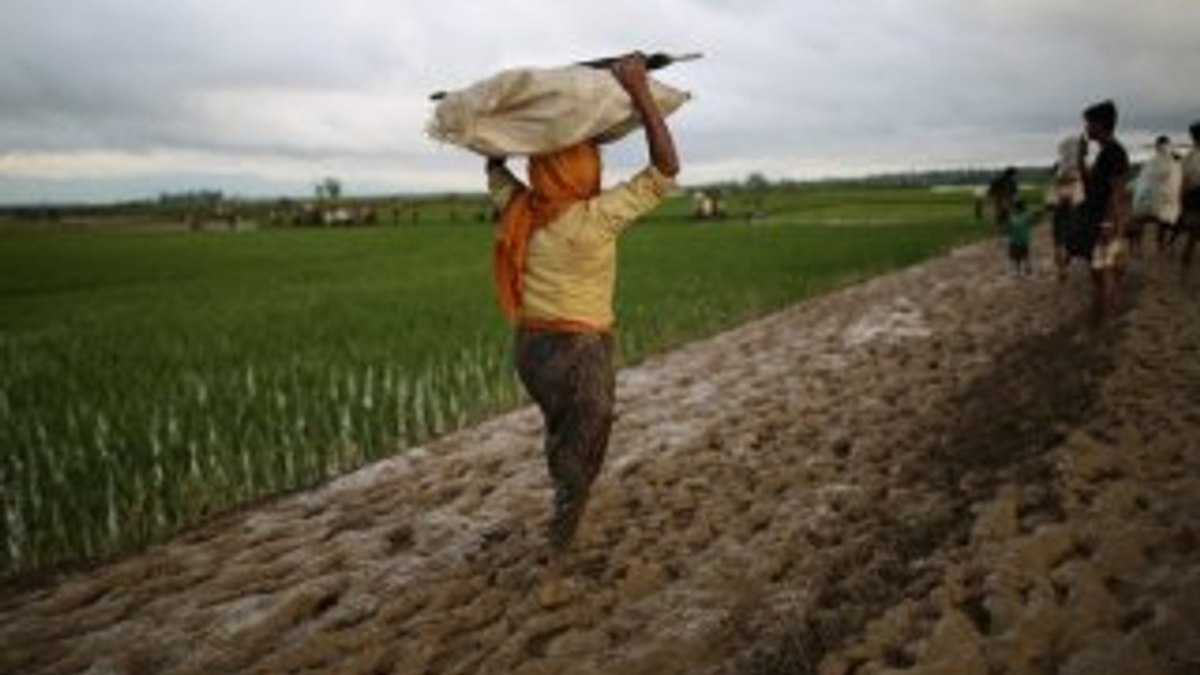 Arakan'da cesetleri yakarak yok ediyorlar