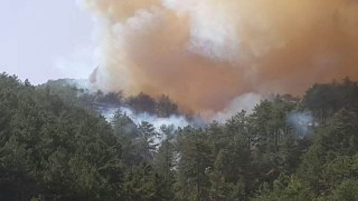 Kütahya'da ikinci orman yangını