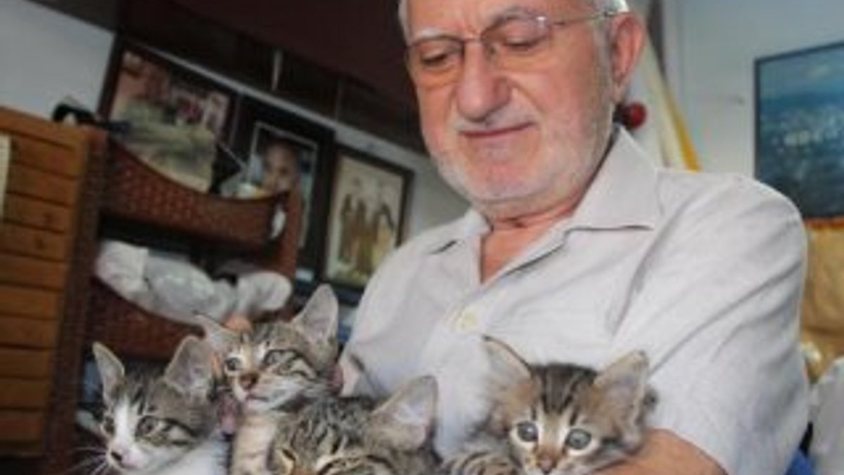 72 yaşındaki terzi, 25 sokak kedisine bakıyor