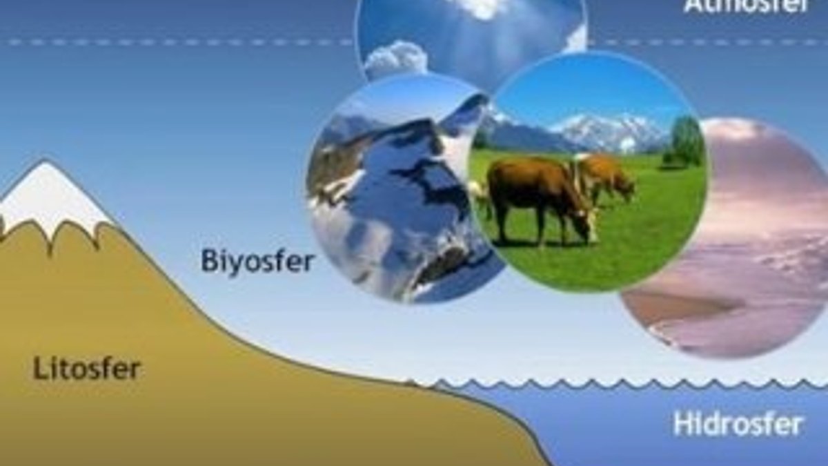 Biyosfer nedir