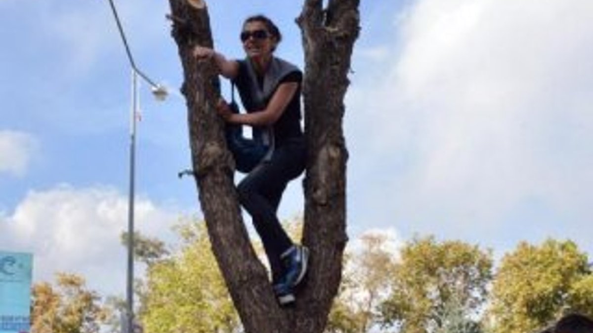 Cumhurbaşkanı Erdoğan'ın dikkatini çekmek için ağaca çıktı