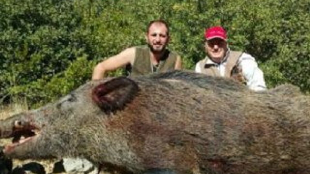 İzmir'de çiftçinin kabusu olan domuz öldürüldü