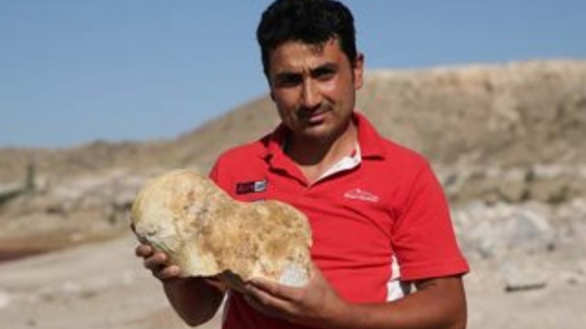 Kayseri'de çoban 6 milyon yıllık fosil buldu