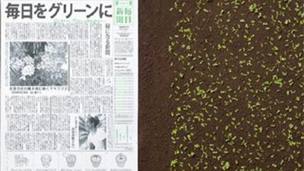Japonların imrendiren yeşil gazetesi