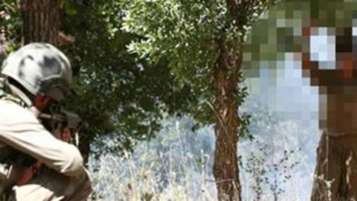 Şırnak'ta 5 PKK'lı teslim oldu