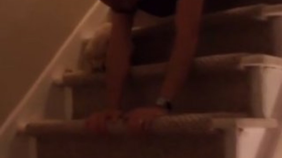 Merdivenlerden inemeyen köpeğine ders verdi