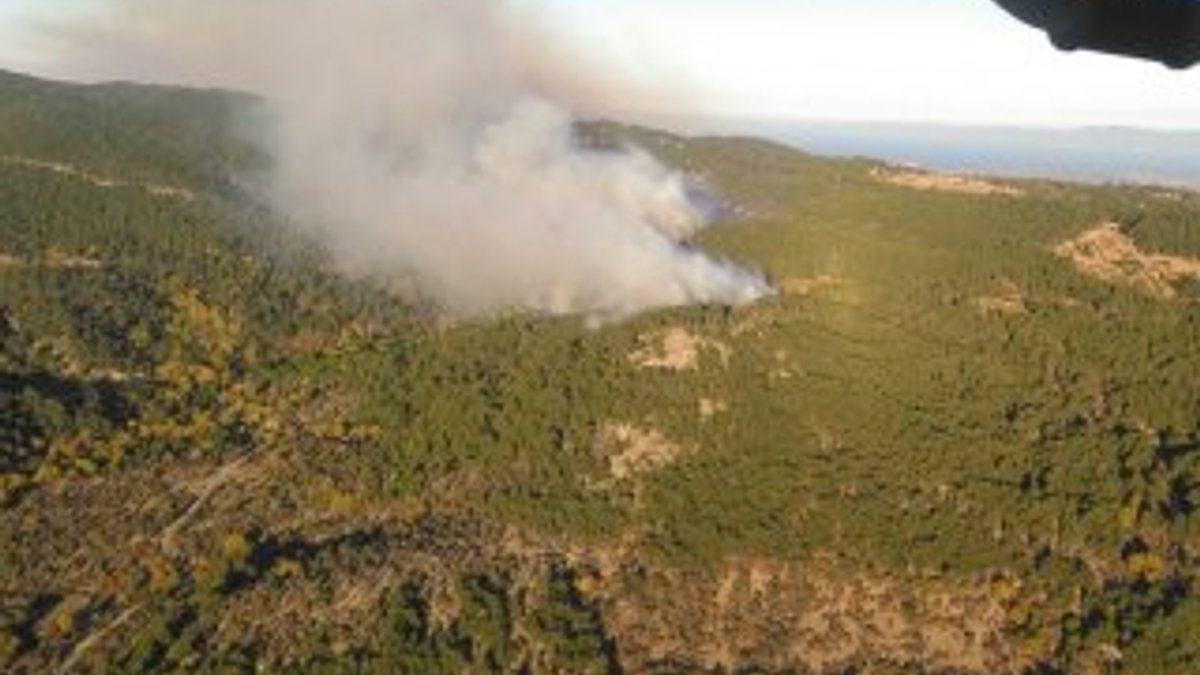 Bergama'da orman yangını