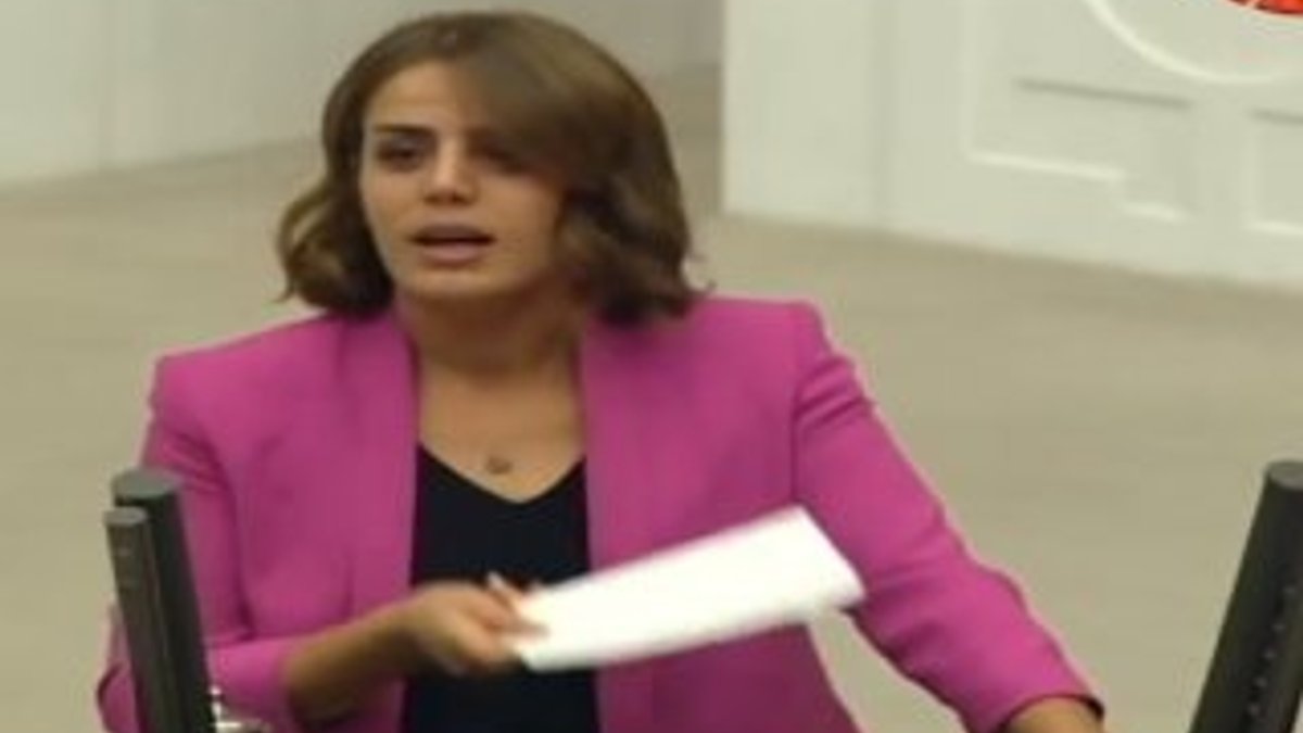 Meclis'te HDP'li Ayşe Acar Başaran'ı kimse dinlemedi
