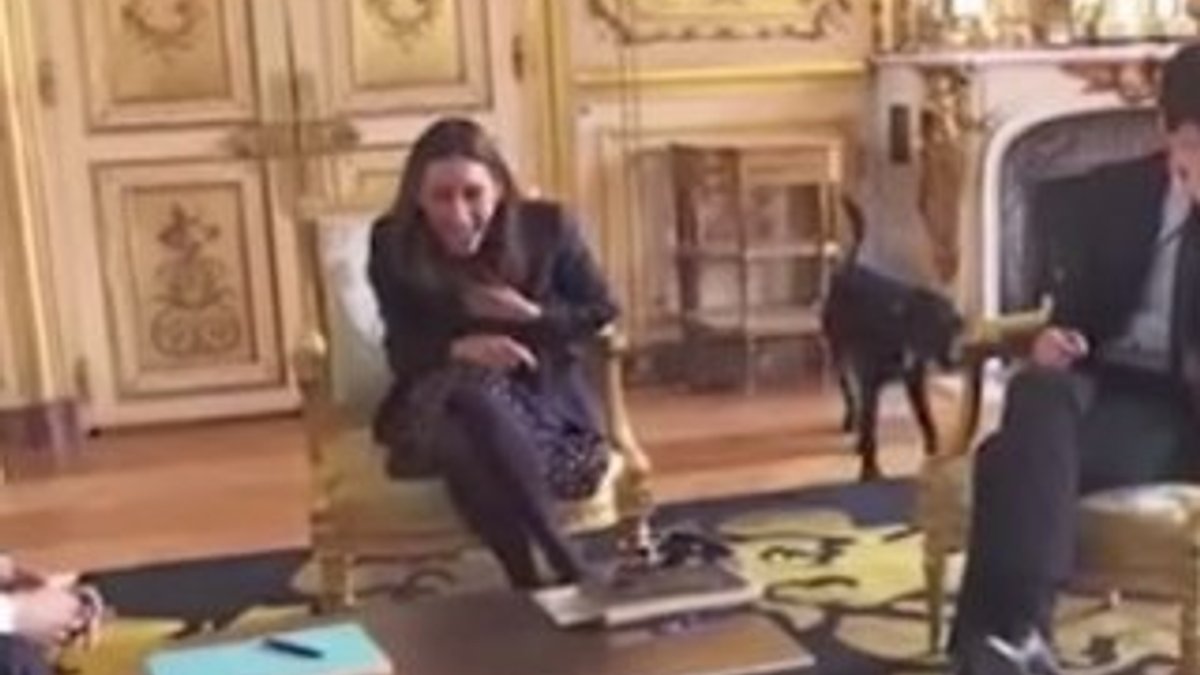 Emmanuel Macron'un köpeği şömineye işedi