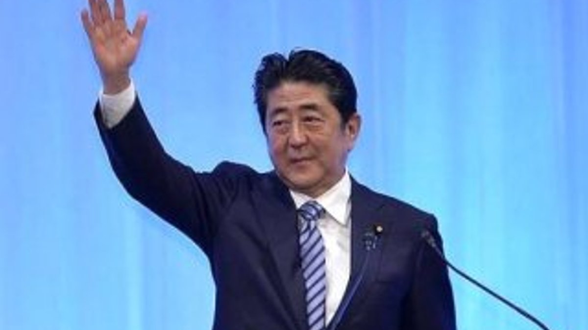 Japonya'da seçimlerin galibi Liberal Demokratlar