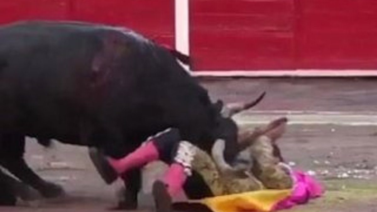 Yaralanan matador geri dönüp boğayı öldürdü