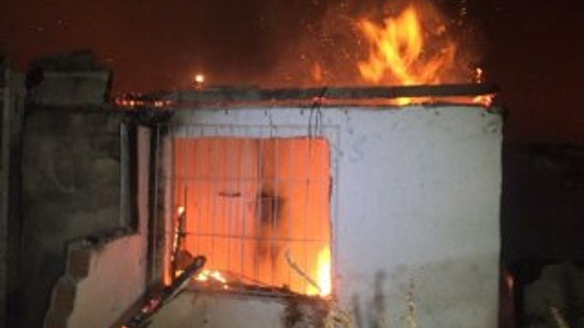 Bakırköy'de çıkan yangında bir gecekondu kül oldu