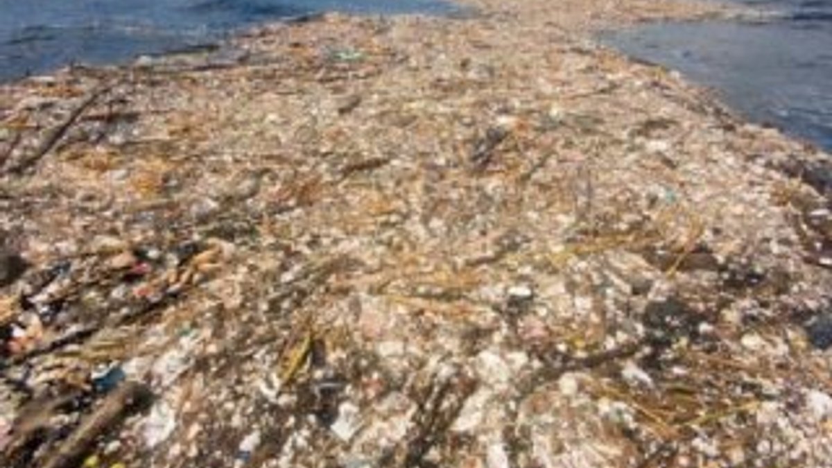 Karayipler’de plastik kirliliği ciddi boyutlara ulaştı
