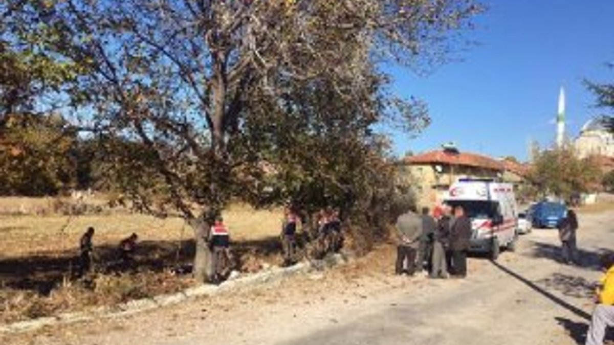Yozgat'ta bir adam ceviz ağacından düşüp öldü