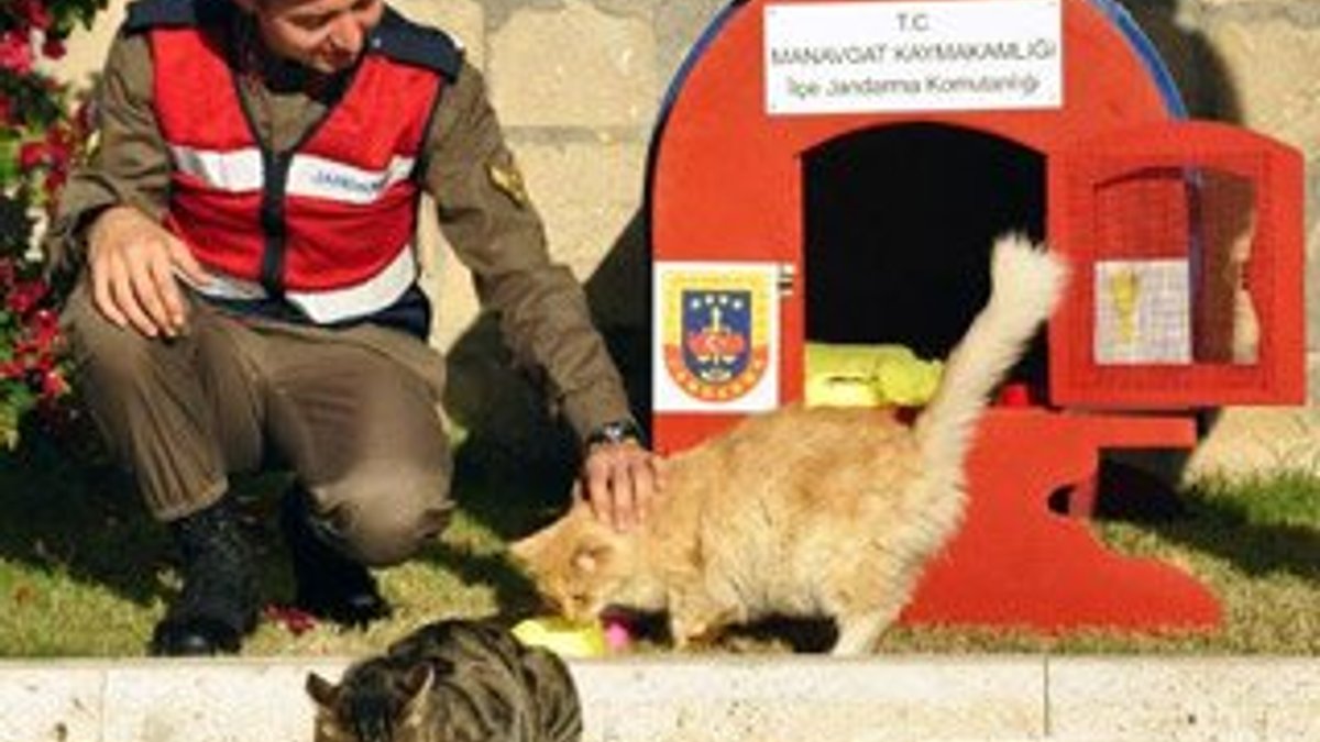 Antalya'da jandarmadan kedilere sıcak yuva