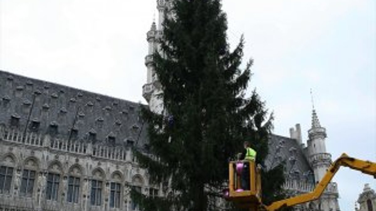 Brüksel'de 22 metrelik Noel ağacı