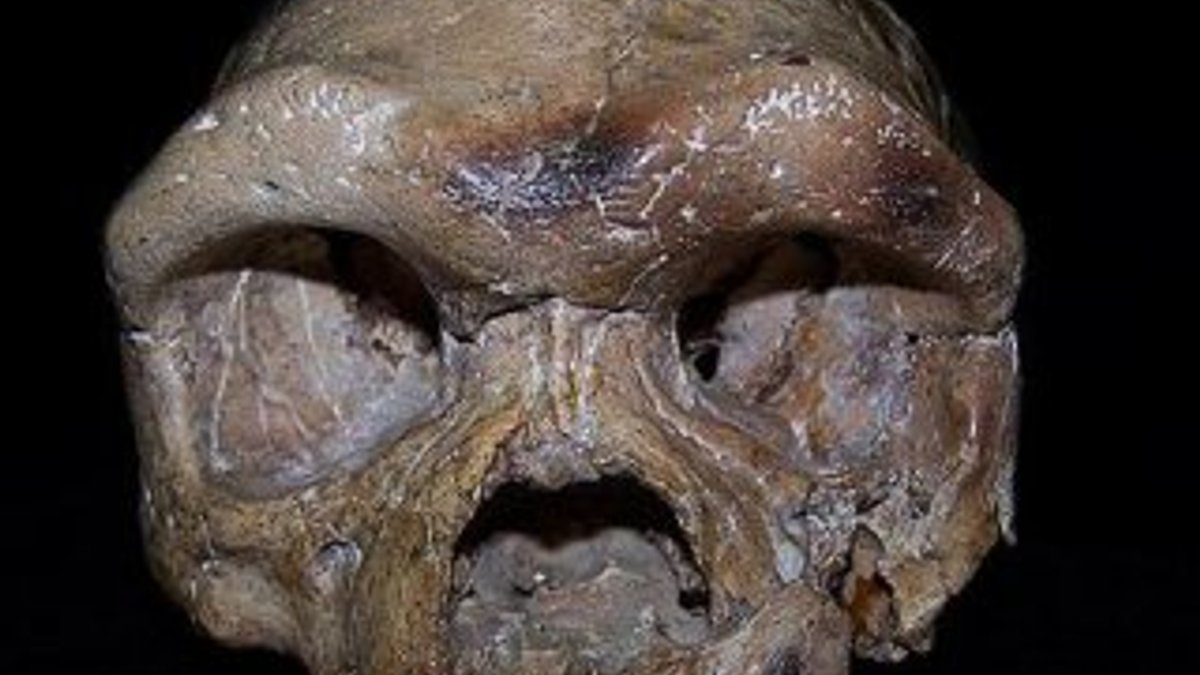 260 bin yıllık kafatası insanlık tarihini yeniden yazacak