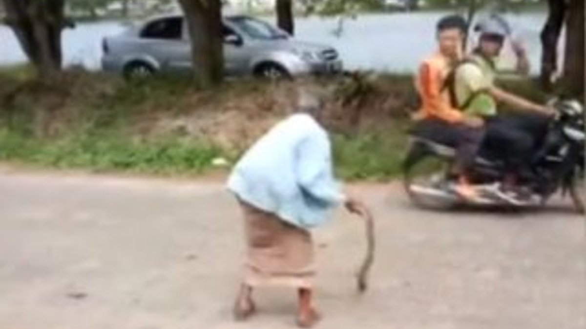 Yılanı yere vurarak öldüren yaşlı kadın