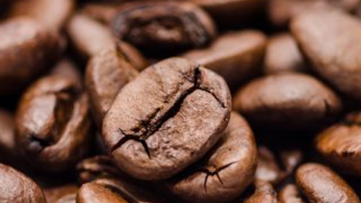 Küresel ısınma kahveyi tehdit ediyor: Tadı bozulacak