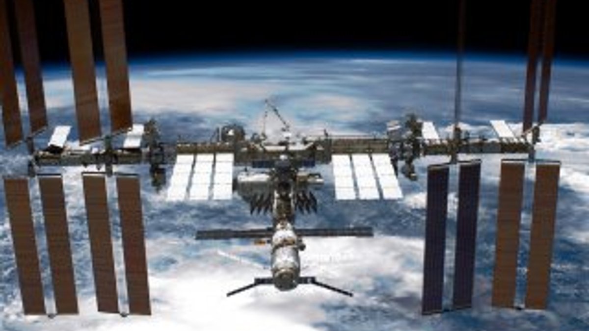 Rus kozmonot: Uzayda canlı bakteri bulundu