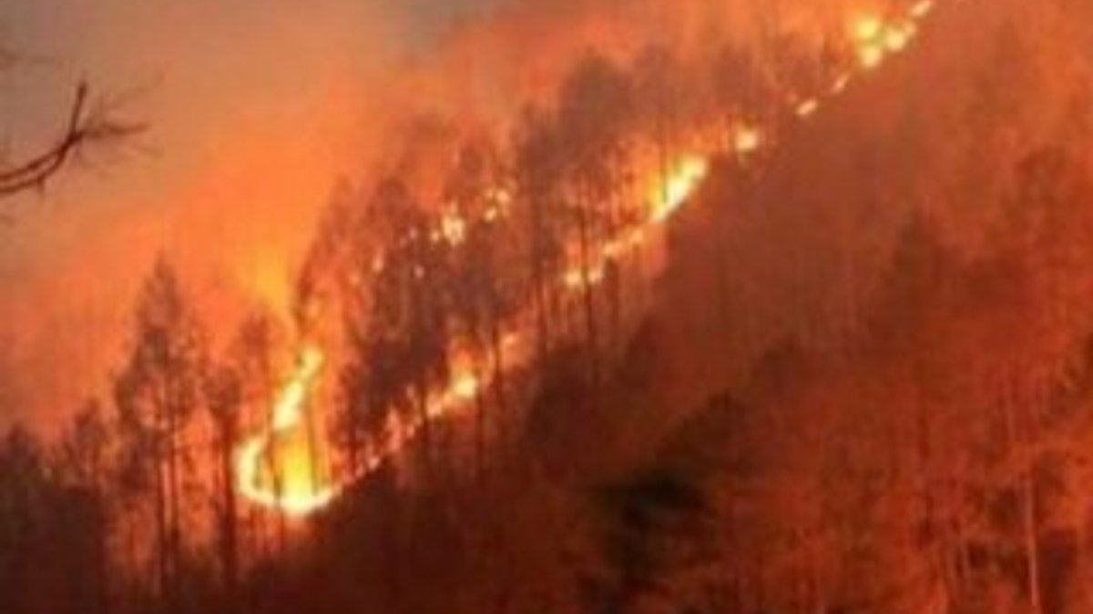 Kasım ayında 52 orman yandı
