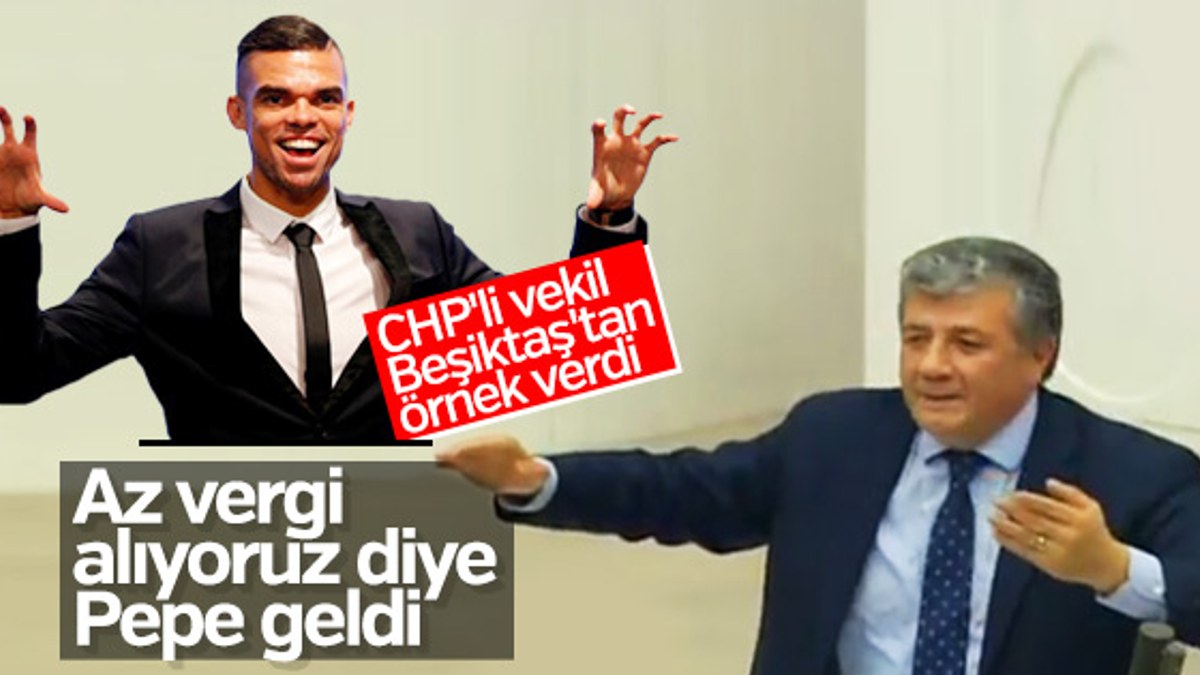 CHP'li Mustafa Balbay'dan vergi tartışmasında Pepe örneği