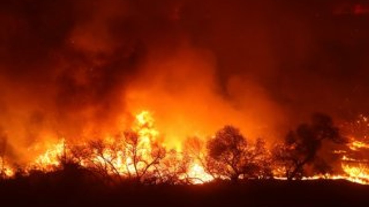 Kaliforniya'daki orman yangını durdurulamıyor