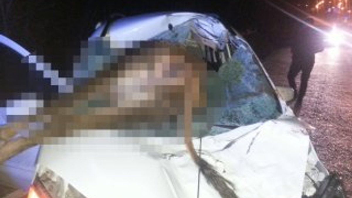 Çankırı'da otomobil ineğe çarptı: 2 yaralı