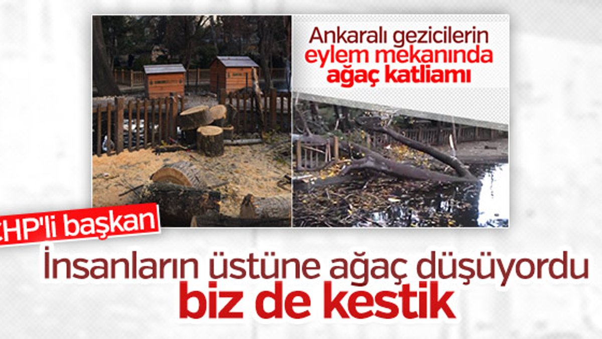 CHP'li Çankaya Belediyesi'nin ağaç katliamına açıklaması