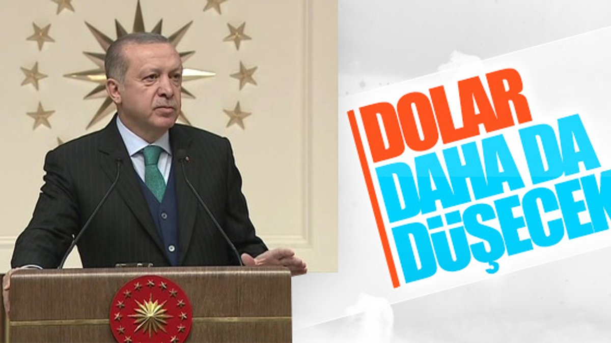 Erdoğan TÜBA Ödül Töreni'nde