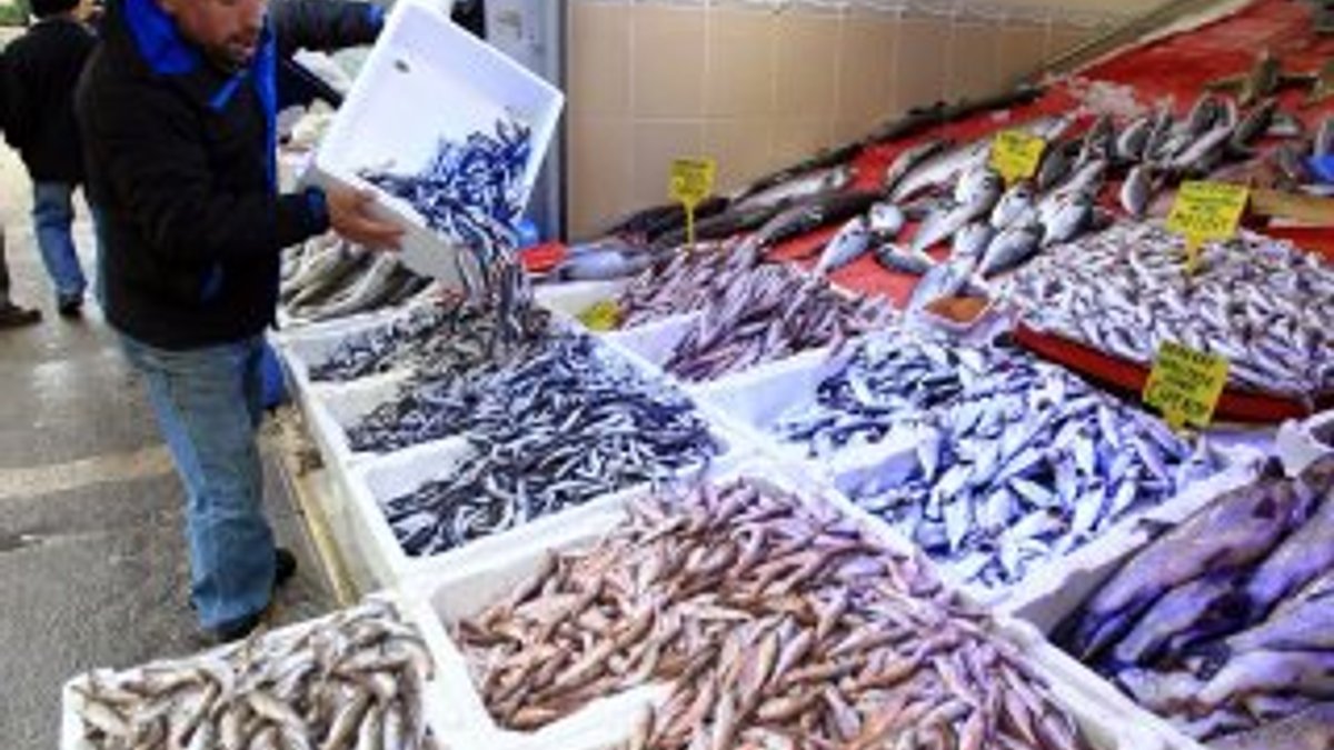 Avrupa Konseyi Karadeniz için balık avlama kotasını belirledi