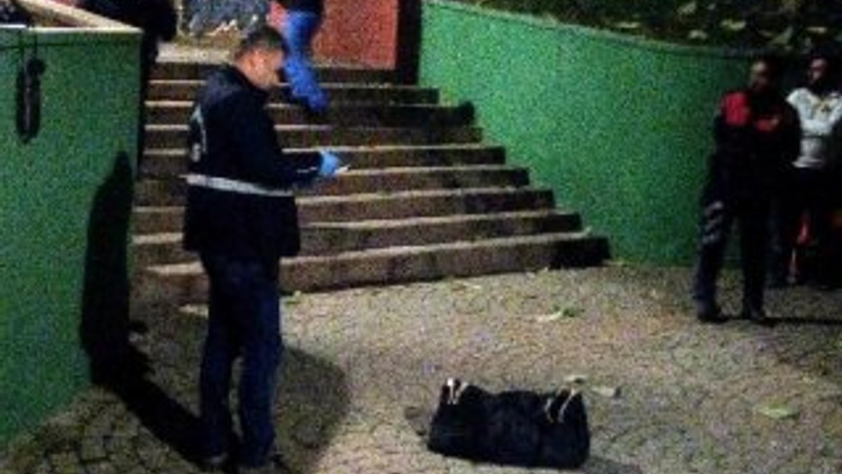 Parkta valize buzla konulmuş bebek cesedi bulundu