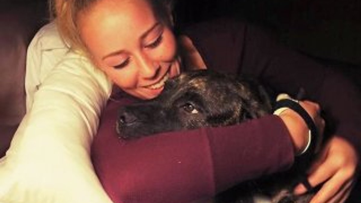 ABD'de genç kadın köpekleri tarafından parçalandı